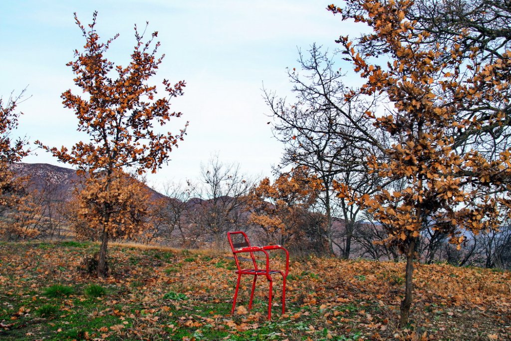 La nature a horreur du vide, cette chaise attend preneur (Photo Robert Poulain)
