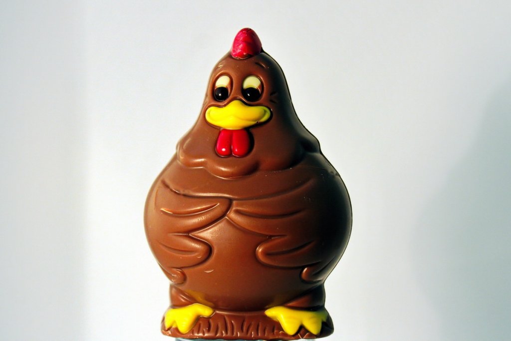 Viens Poupoule viens Poupoule viens... (Photo Robert Poulain)