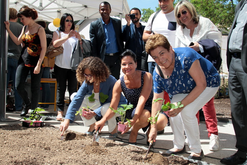 C'est aux jardins de Ruffi que Monique Cordier, Lisette Narducci et Violaine Richard ont planté, planté (Photo Robert Poulain) C'est aux jardins de Ruffi que Monique Cordier, Lisette Narducci et Violaine Richard ont planté, planté (Photo Robert Poulain)