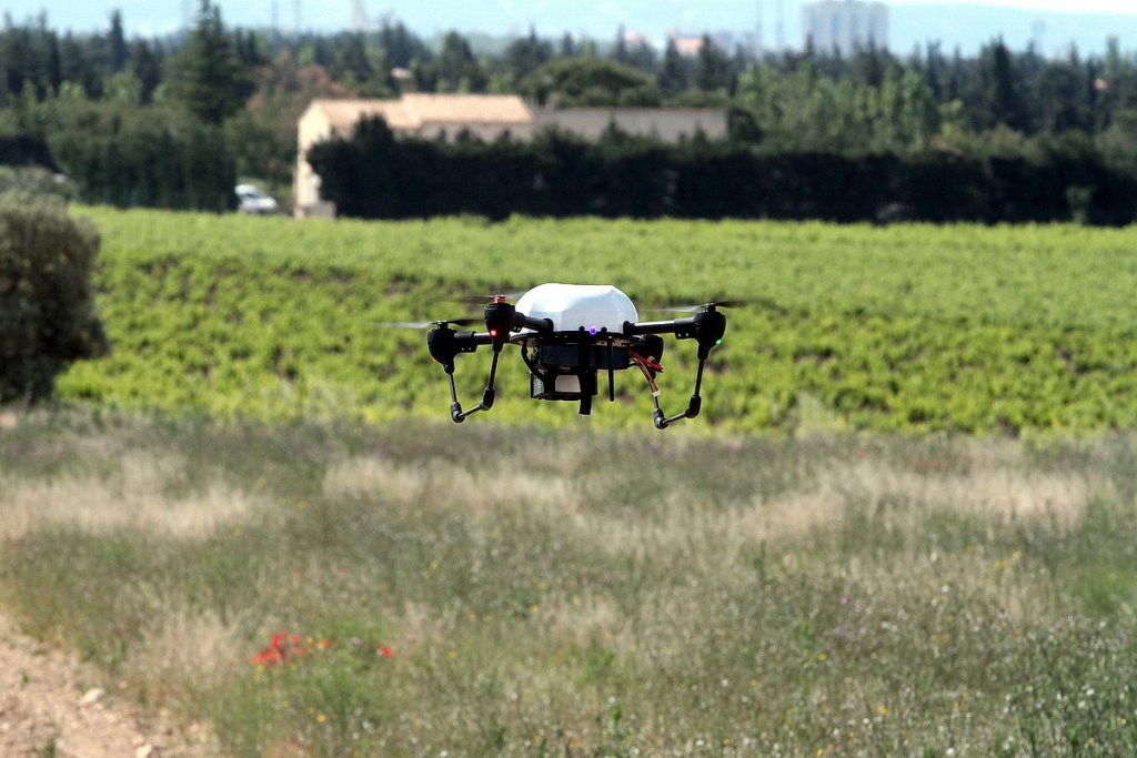 Les drones utilisés pour détecter la flavescence dorée (Photo Robert Poulain)