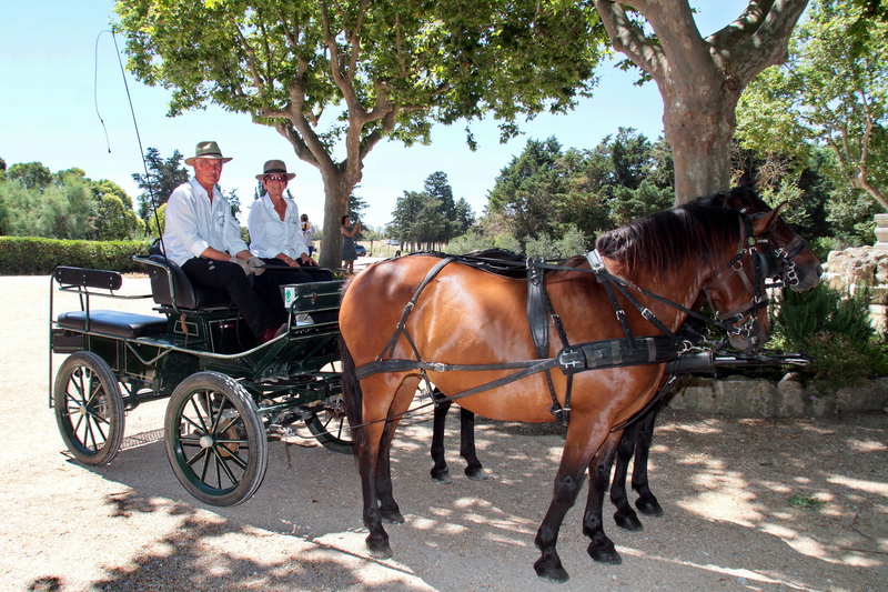 (Photo Robert Poulain)