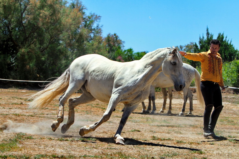 (Photo Robert Poulain)
