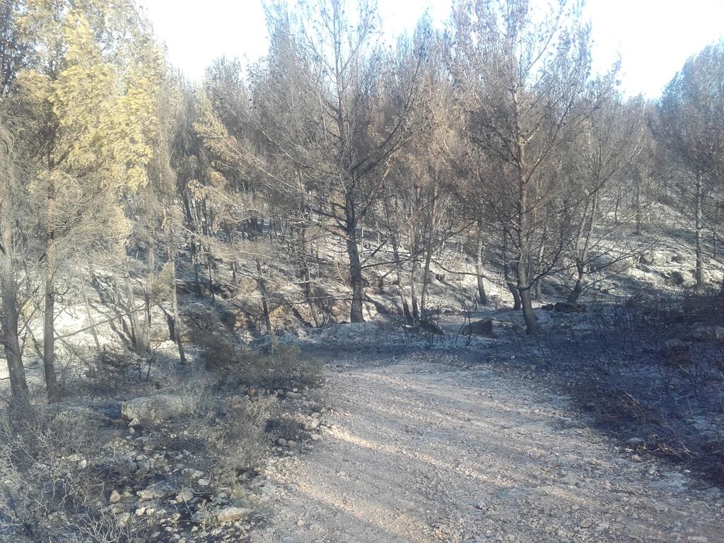 © Pompiers 13