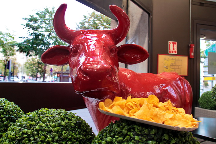 Vache ou taureau la gourmandise n'a pas de sexe (Photo Robert Poulain)