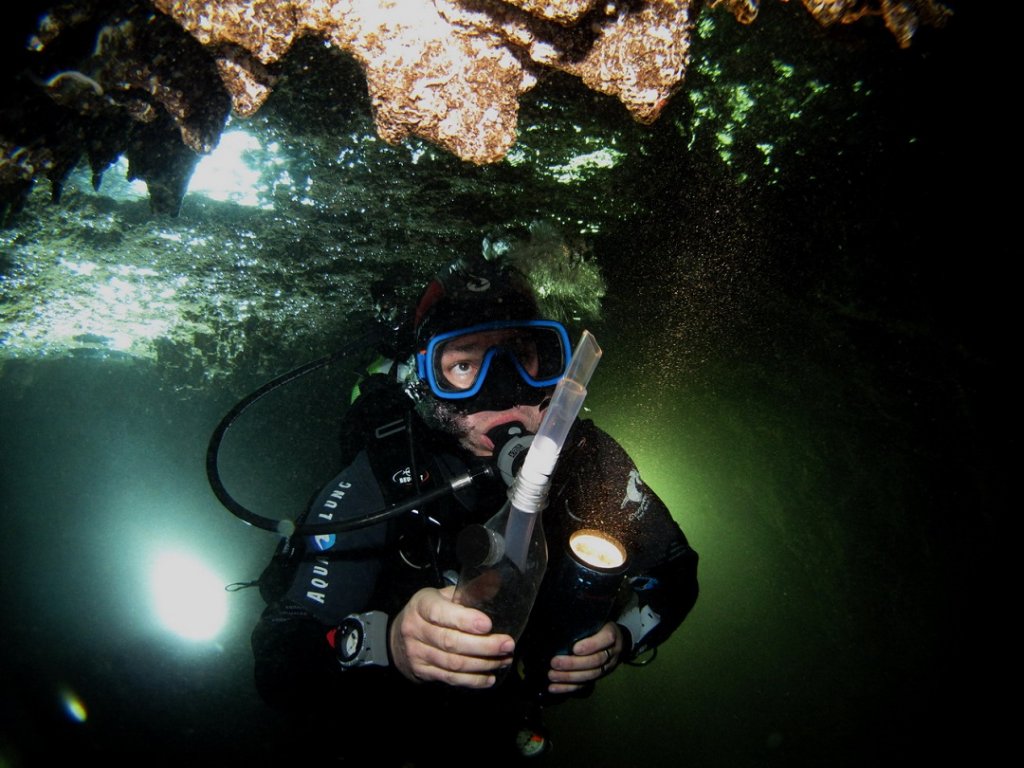 Les grottes sous-marines des calanques, sont toutes différentes les unes des autres mais constituent un patrimoine fragile à protéger. Les chercheurs-plongeurs comme ici Pierre Chevaldonné contribuent à en améliorer la connaissance. (Photo Thierry Pérez / CNRS)