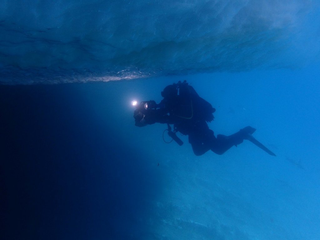 Exploration sous la banquise de cet univers de glace et d’eau dont il reste beaucoup à apprendre encore.  (Photo : Pierre Chevaldonné / CNRS)