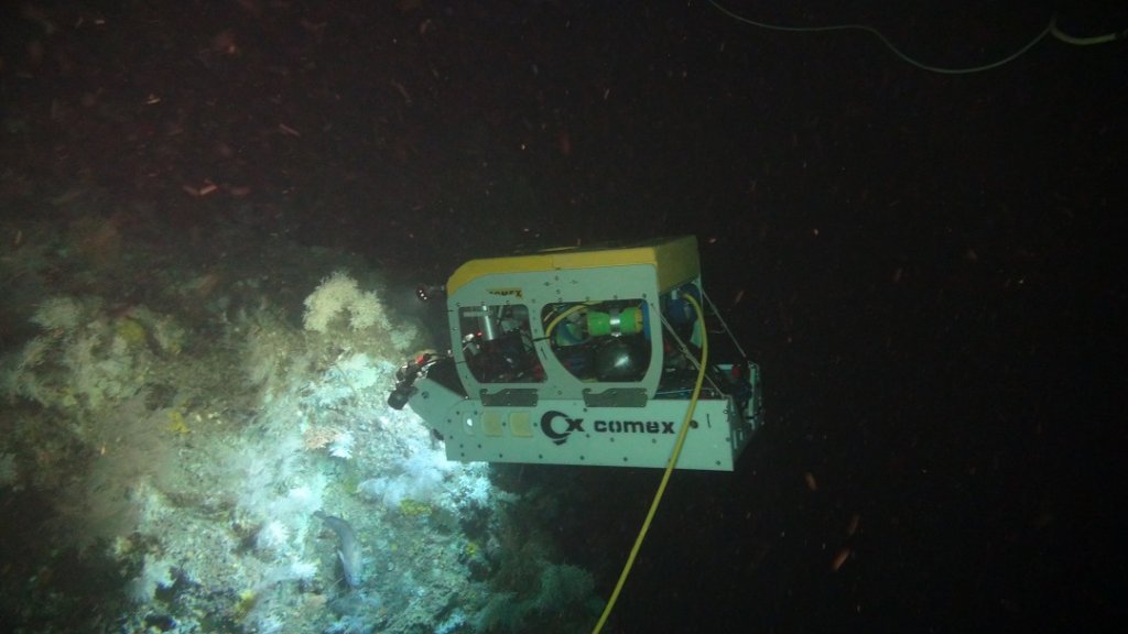 Exploration de la biodiversité des communautés des grands fonds du canyon de la Cassidaigne lors d’une plongée avec un robot sous-marin de la Comex. (Photo AFB/Comex)