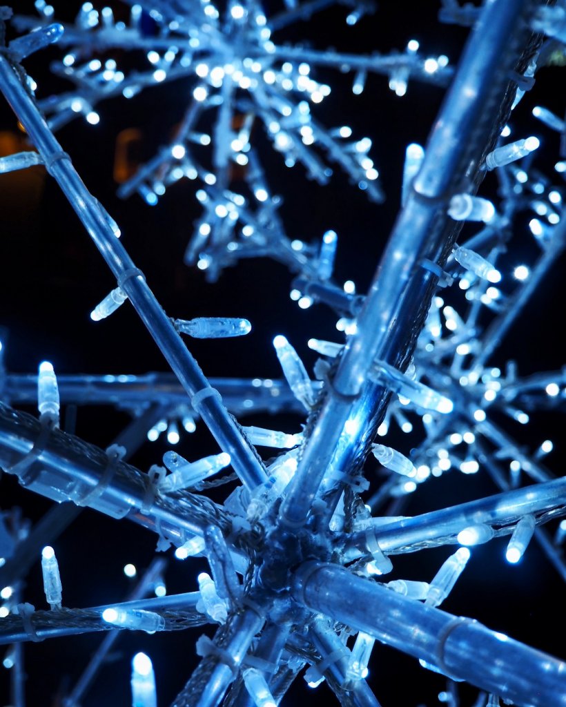 (Photo Hagay Sobol) (Photo Hagay Sobol)