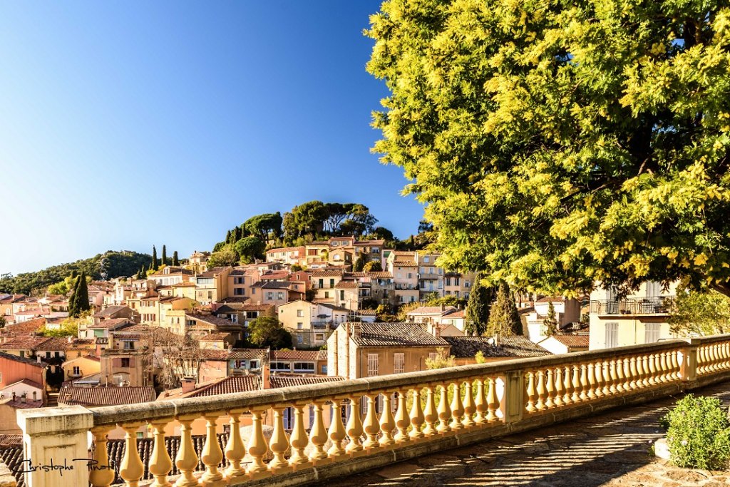 La photo du jeudi de Christophe Pinatel " En direct de Bormes-les-Mimosas"