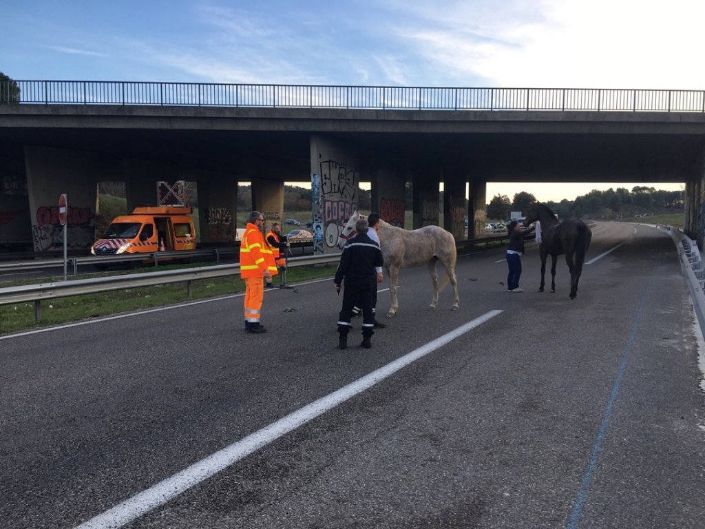 (Photo Pompiers 13)