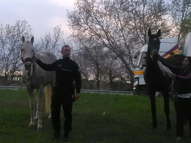 (Pompiers 13)