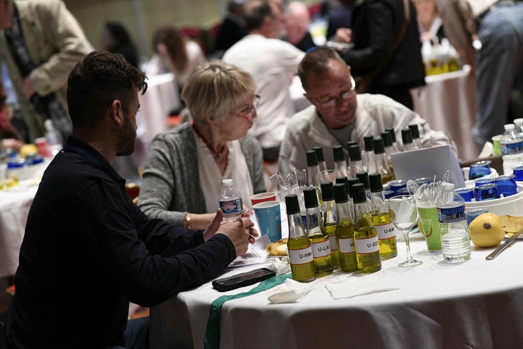 Les huiles d'olive goûtées, dégustées... par des experts (Photo Franck Pennant)