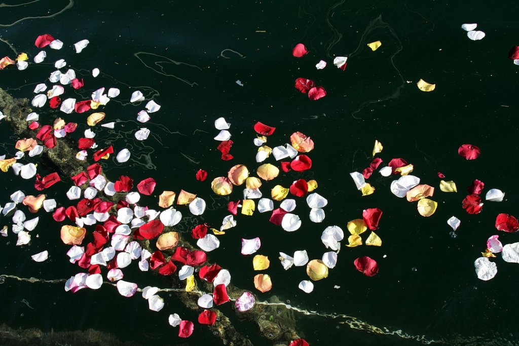 (Photo Robert Poulain) (Photo Robert Poulain)