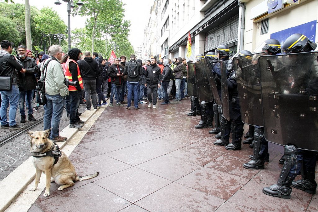 (Photo Robert Poulain)