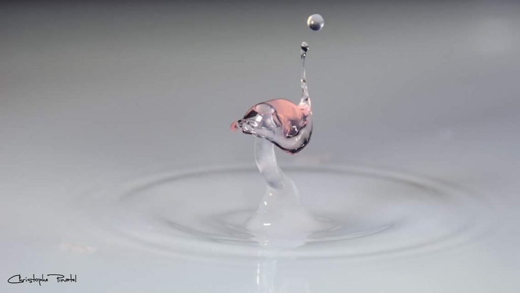 La goutte d'eau qui ne fait pas déborder le vase (Photo Christophe Pinatel)