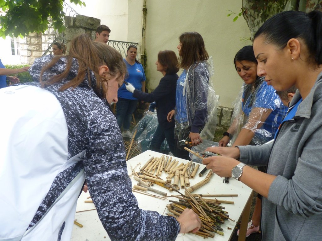 Préparation des bambous pour la fabrication des hôtels à insectes (Photo P.M.-C.)
