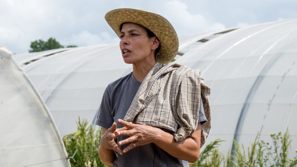 Yacouta Yousni, une maraîchère passionnée et engagée (Photo Anthony Millet)