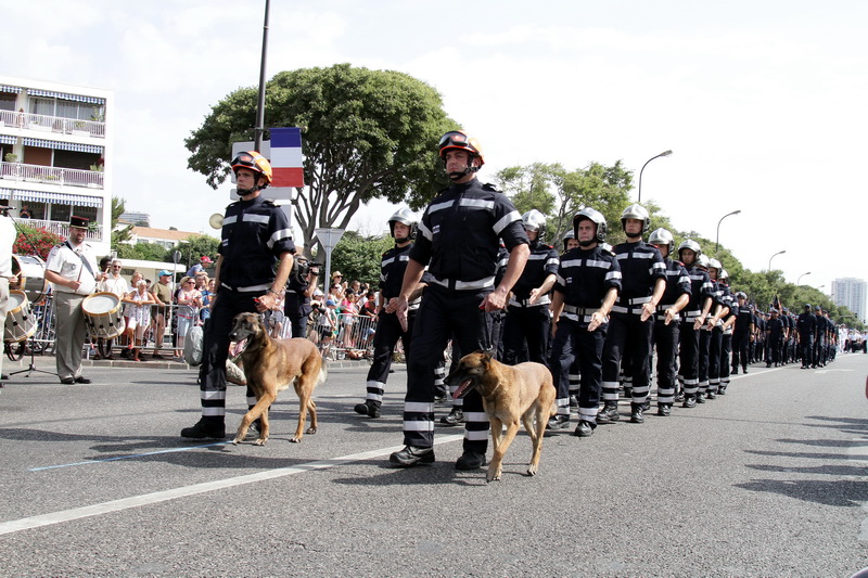 Brigade cynophile des pompiers (Photo Robert Poulain)