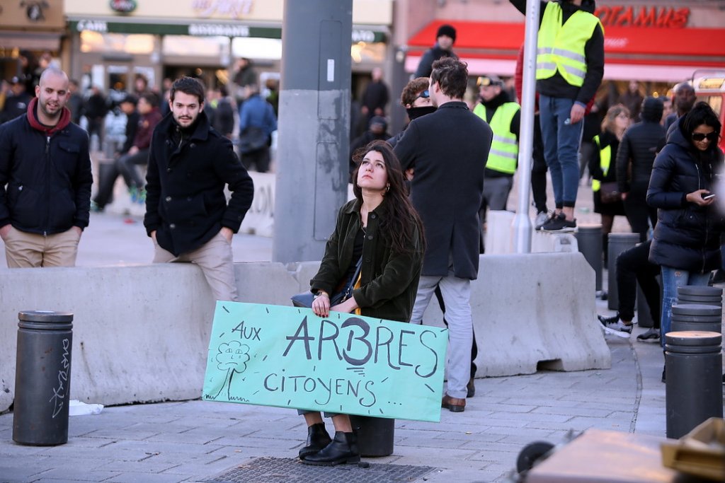 (Photo Robert Poulain)