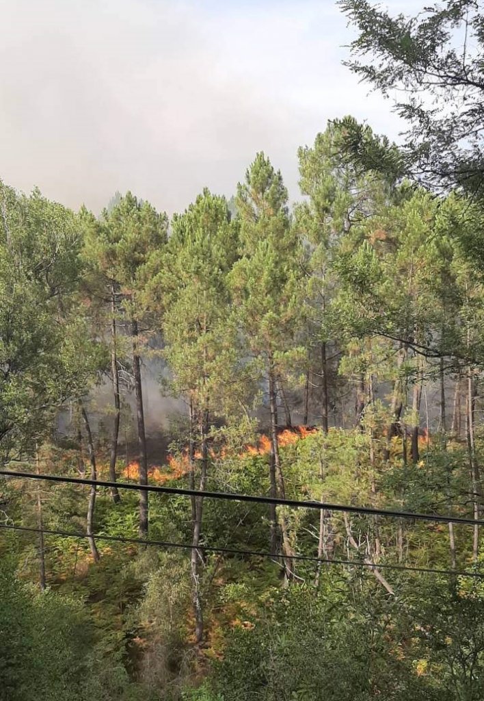 Le feu a détruit près de 80 hectares (Photo K.M.) Le feu a détruit près de 80 hectares (Photo K.M.)