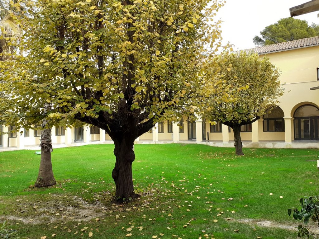 Le cloître, c'est 1 400 m² sis dans le 13e arrondissement de Marseille (Photo Mireille Bianciotto)
