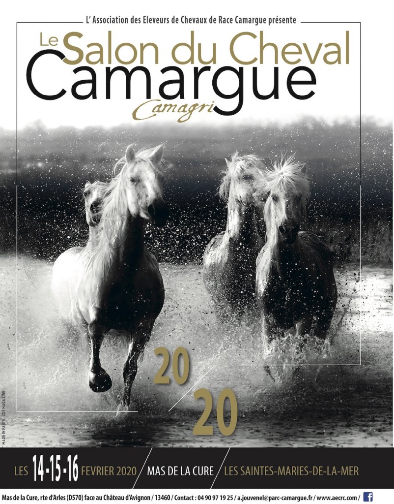 camargue_1.jpg