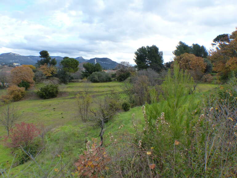 Une parcelle de 2,5 ha à Marseille © métropole AMP