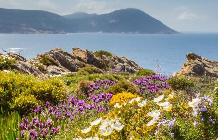Le bilan du tourisme sur l’île de beauté est préoccupant ©ATC