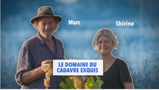 capture_d_ecran_2021-01-30_a_20.57.37.png