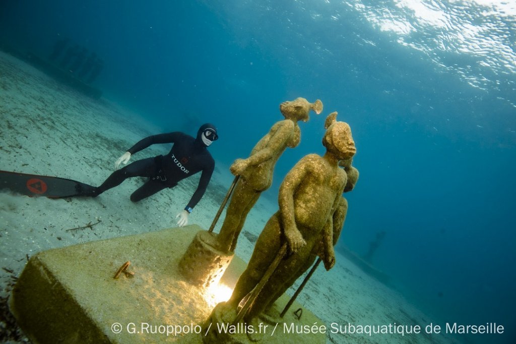 Destimed les singes de mer de benoit de souza copie