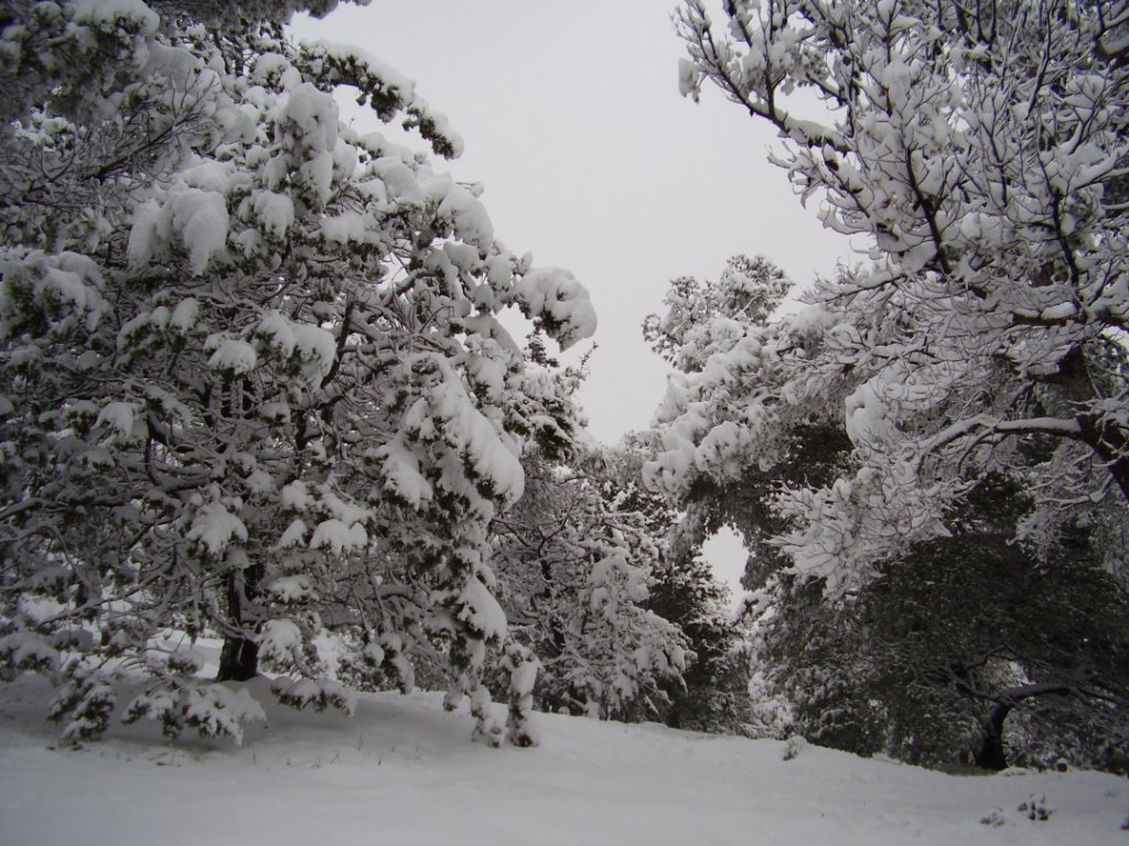 (Photo Philippe Maillé)