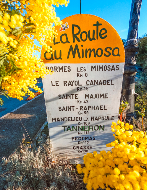 Partez à l'aventure sur la route varoise du mimosa ©DR