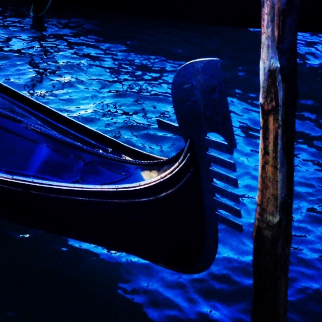 Débarrassée des géants des mers restent les gondoles à Venise © Hagay Sobol