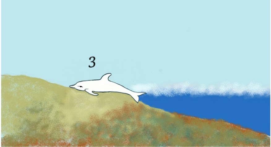 3 : L'animal en fuite continue d'avancer et s'échoue