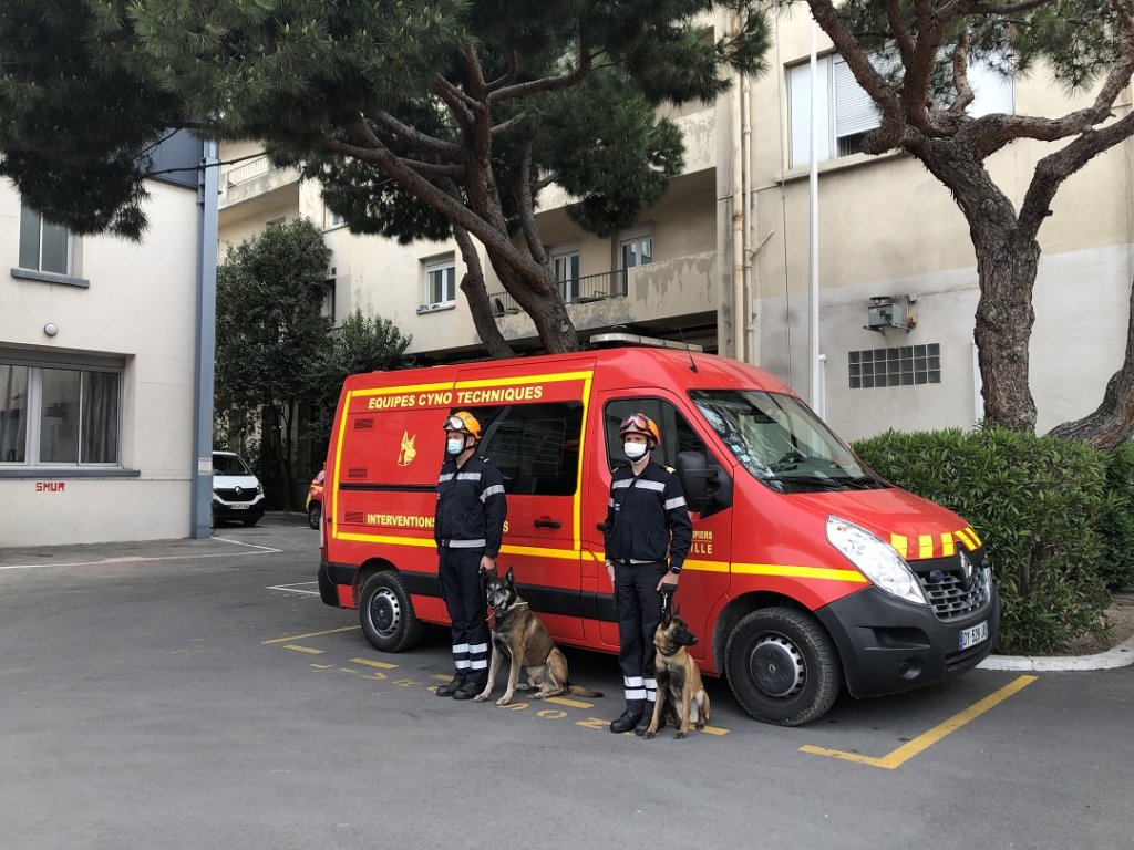 Il a été démontré que les chiens étaient en capacité de détecter le virus ©Mireille Bianciotto