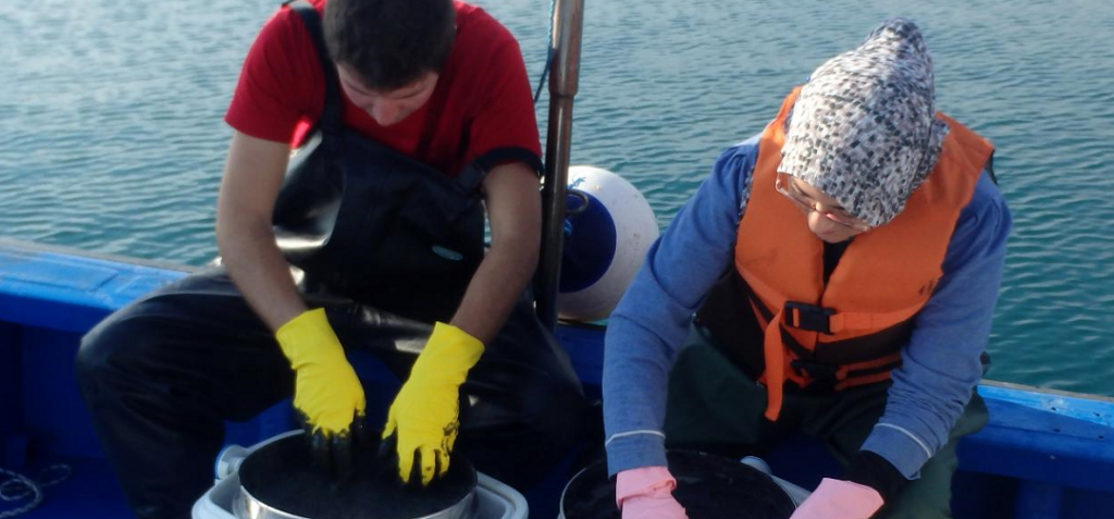 Etude de l'impact des contaminants Tunisie © IRD/Couet Douglass