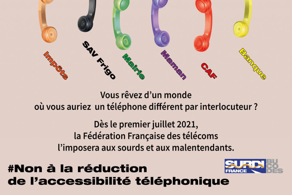 visuel_copie.png