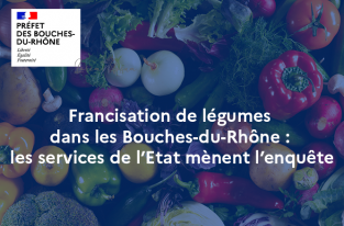 francisation-de-legumes-dans-les-bouches-du-rhone-les-services-de-l-etat-menent-l-enquete_large.png