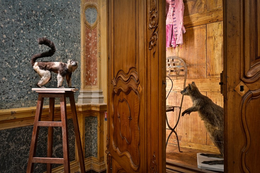 Entre les marbres, les tapisseries et les boiseries du musée, cette exposition prend une dimension étrange, souvent fascinante. © Aix-en-Provence.