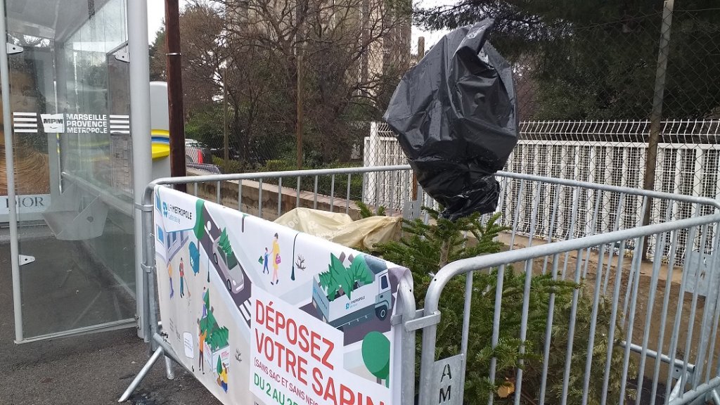 Point de collecte des sapins dans le 10e arrondissement de Marseille ©Patricia Maillé-Caire