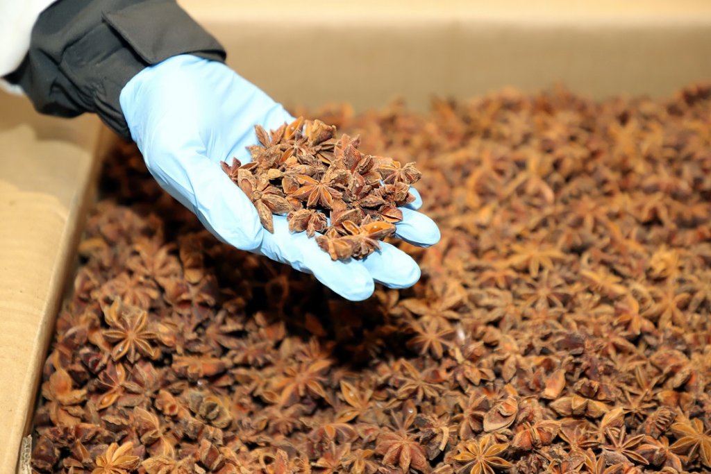 Les produits sont travaillé sur place, ici la badiane (Photo Robert Poulain/Cepasco)