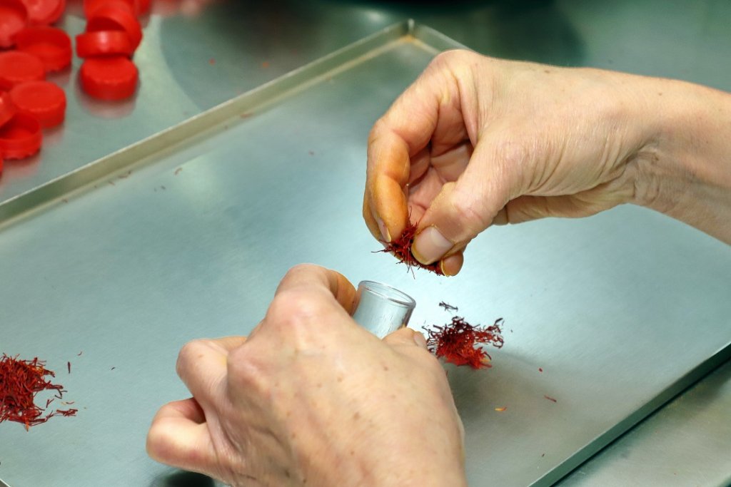C'est à la main que les sachets de safran sont remplis  (Photo Robert Poulain/Cepasco)