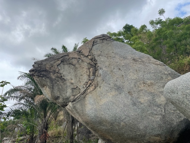 Le poisson rocher sur la colline sacrée (Photo AV)