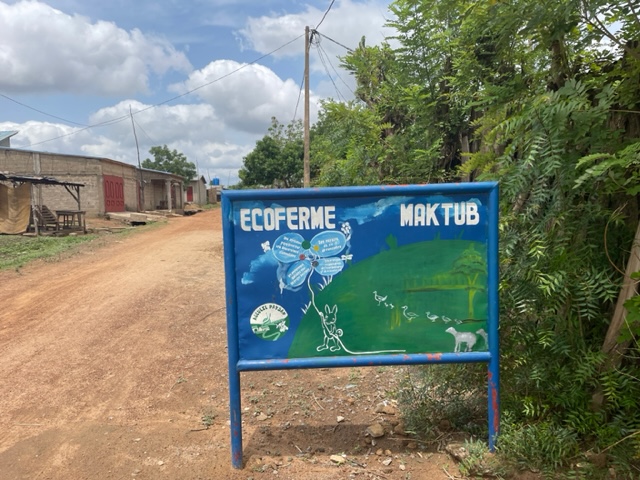 La ferme Maktub se trouve à 5 km du centre-ville (Photo EV)