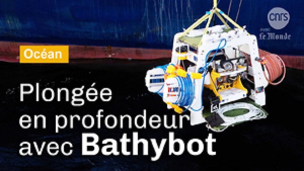 bathybotcopie.jpg