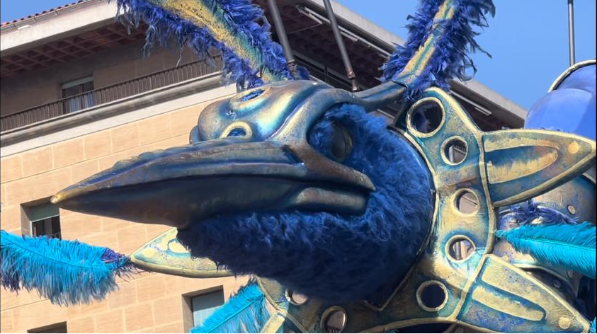 oiseau.png
