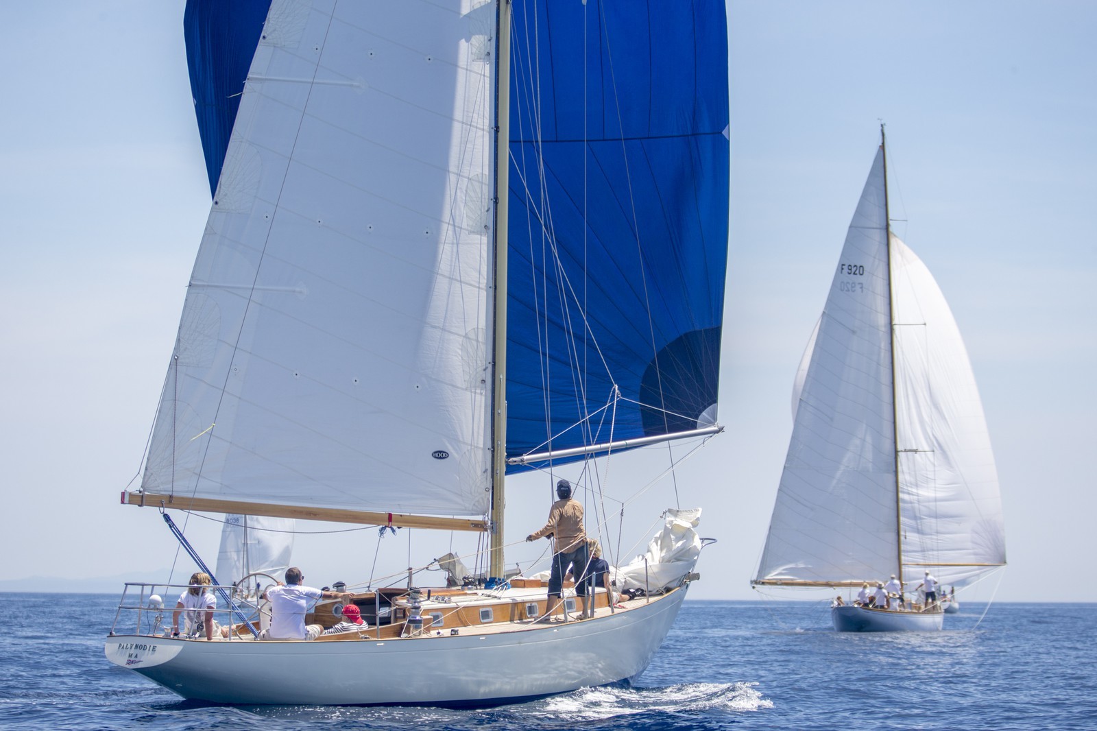 Destimed Les voiles du Vieux Port