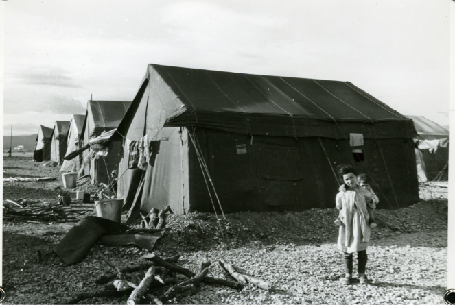 Destimed 1962 1964 camp rivesaltes