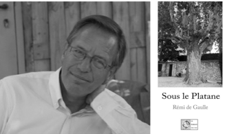 Destimed Remi De Gaulle.png copie