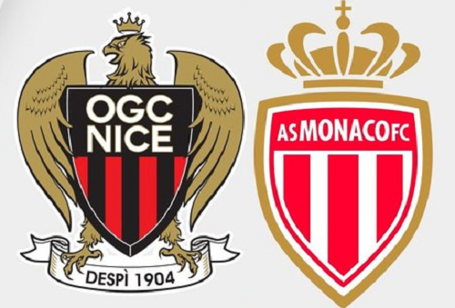 Destimed Nice Monaco logos